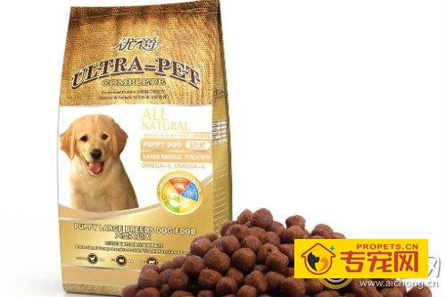 金毛犬吃什么狗粮好