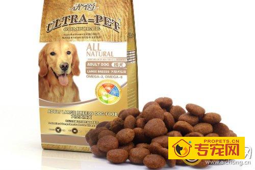 如何为金毛犬选狗粮