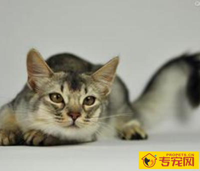 undefined{{pos:,w:,h:}}