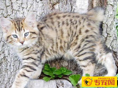 undefined{{pos:,w:,h:}}