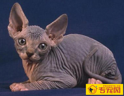 undefined{{pos:,w:,h:}}