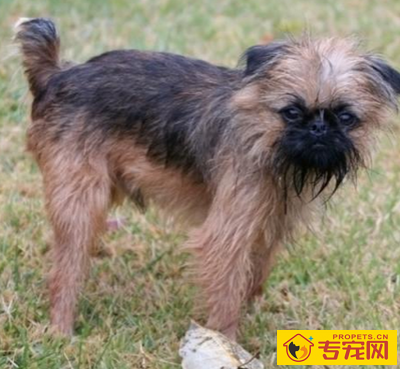 undefined{{pos:,w:,h:}}