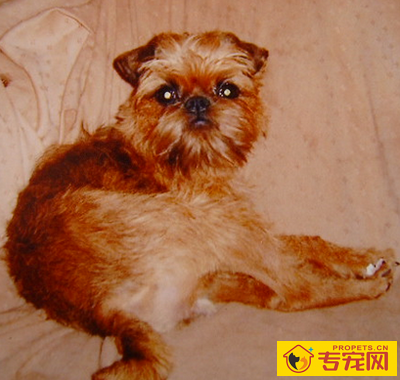 undefined{{pos:,w:,h:}}