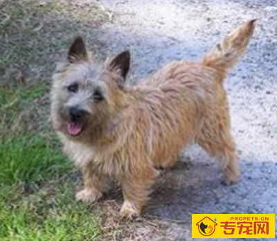 undefined{{pos:,w:,h:}}