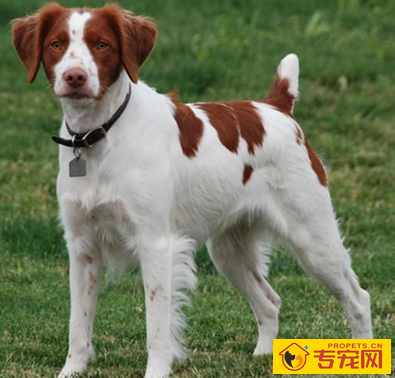 undefined{{pos:,w:,h:}}