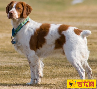 undefined{{pos:,w:,h:}}