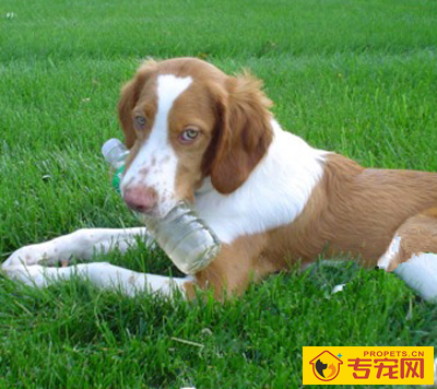 undefined{{pos:,w:,h:}}