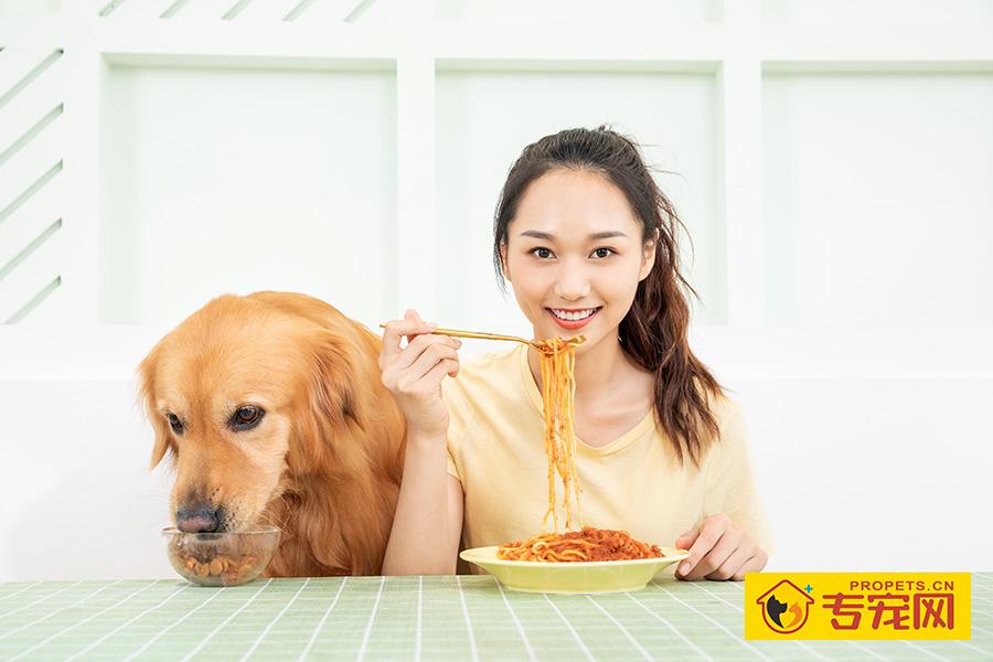 金毛犬如何补钙