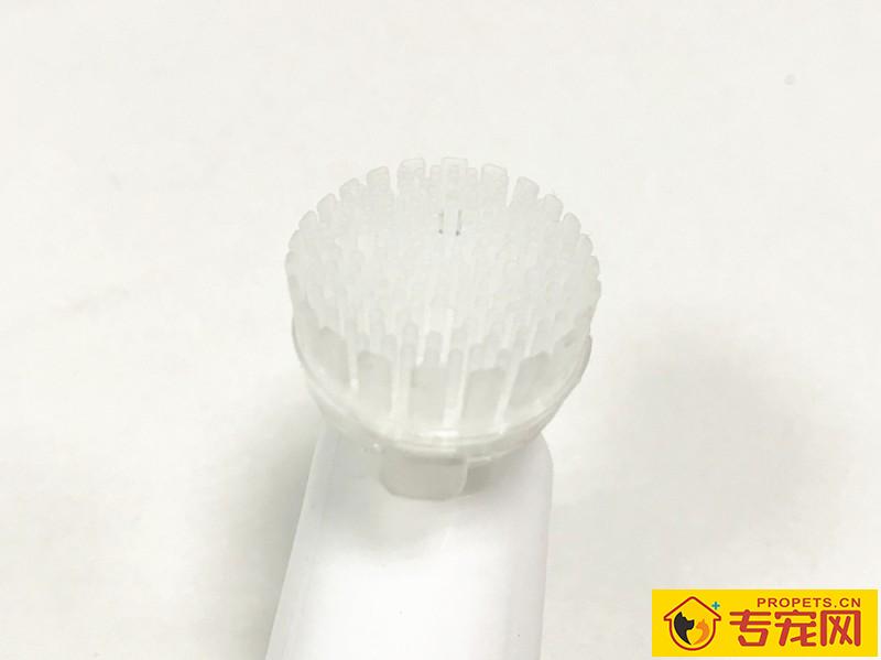 狗狗爪子脏,使用洗爪商品真的有用吗?评测几种洗爪神器 狗狗爪子脏,使用洗爪商品真的有用吗?评测几种洗爪神器