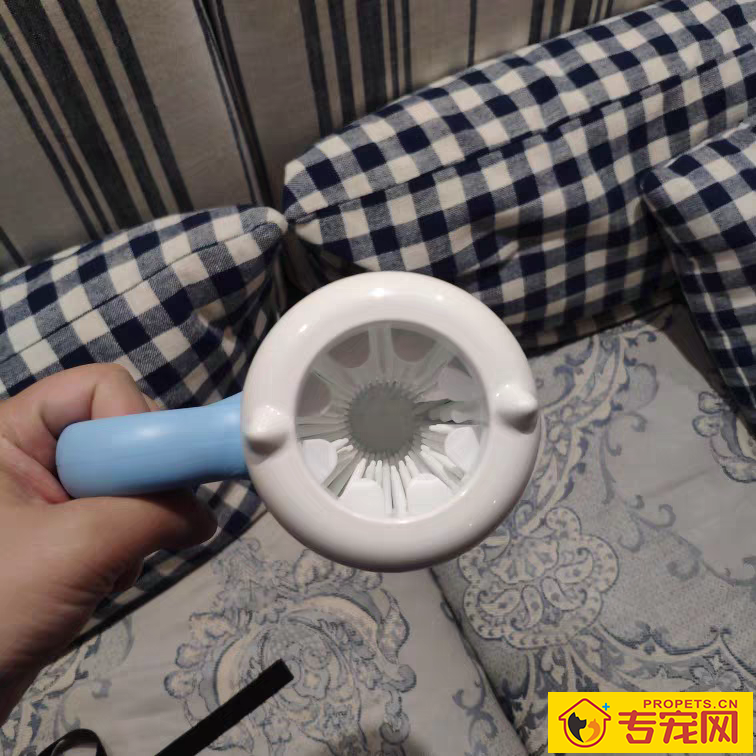 狗狗爪子脏,使用洗爪商品真的有用吗?评测几种洗爪神器 狗狗爪子脏,使用洗爪商品真的有用吗?评测几种洗爪神器