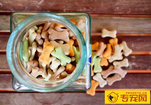 【宠物的保养小窍门】幼犬严重便秘会死吗,幼犬巴哥便秘怎么办 【宠物的保养小窍门】幼犬严重便秘会死吗,幼犬巴哥便秘怎么办