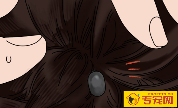 遛狗狗警惕蜱虫扎进狗狗皮肤,遇到蜱虫该怎么处理呢? 遛狗狗警惕蜱虫扎进狗狗皮肤,遇到蜱虫该怎么处理呢?