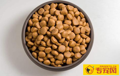 比熊吃啥狗粮没泪痕,比熊去泪痕狗粮排名榜有吗 比熊吃啥狗粮没泪痕,比熊去泪痕狗粮排名榜有吗