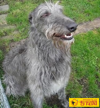 undefined{{pos:,w:,h:}}