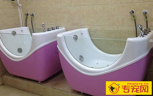 喜乐蒂毛发干枯该怎么办，喜乐蒂毛发没光泽度