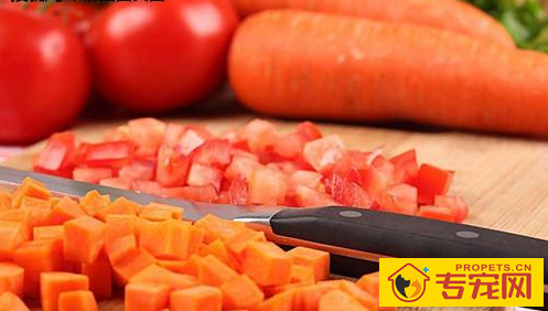 喜乐蒂毛发干枯该怎么办，喜乐蒂毛发没光泽度