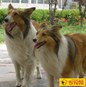 undefined{{pos:,w:,h:}}