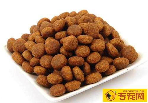 【本人养宠物心得分享】雪纳瑞眼睛有红血丝是啥难题