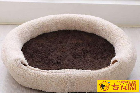 狗狗拉稀不喝水该怎么办,狗狗拉稀不想要喝水 狗狗拉稀不喝水该怎么办,狗狗拉稀不想要喝水