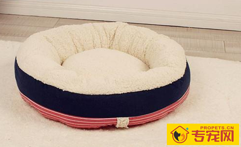 柯基拉稀忌食一晚，柯基拉稀停食有什么用