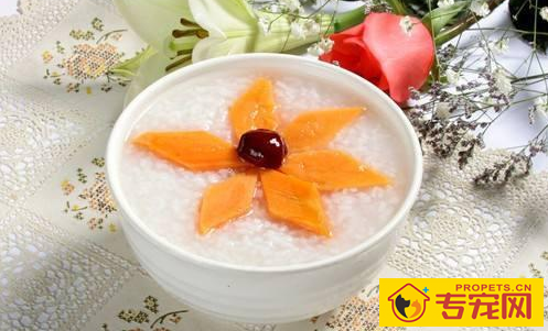 狗狗拉稀不喝水该怎么办,狗狗拉稀不想要喝水 狗狗拉稀不喝水该怎么办,狗狗拉稀不想要喝水