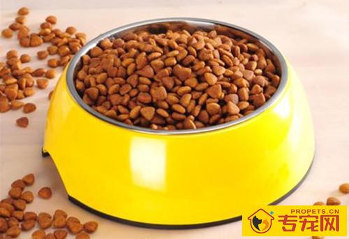 狗狗美毛的食物有什么，什么食物能够给狗狗美毛