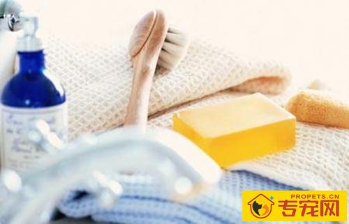 狗可用饮用水冼澡,狗狗用冷的饮用水冼澡可以吗 狗可用饮用水冼澡,狗狗用冷的饮用水冼澡可以吗