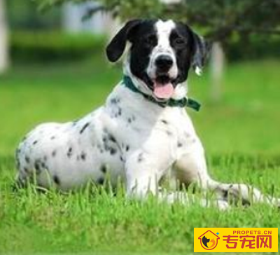 undefined{{pos:,w:,h:}}