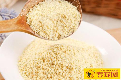 一岁多的小泰迪脱毛,为何小泰迪一岁了还脱毛 一岁多的小泰迪脱毛,为何小泰迪一岁了还脱毛