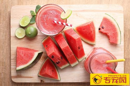 【宠物的保养小窍门】狗狗严重便秘吃一点点泄药,狗狗严重便秘能喂小量的泄药吗 【宠物的保养小窍门】狗狗严重便秘吃一点点泄药,狗狗严重便秘能喂小量的泄药吗