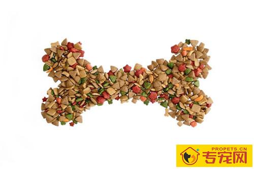 怎样给狗滴耳药,狗滴耳液如何操作方法 怎样给狗滴耳药,狗滴耳液如何操作方法