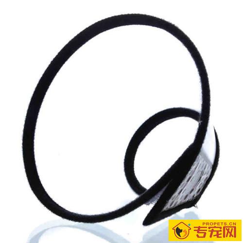 狗狗外伤性可用云南白药吗 狗狗外伤性可用云南白药吗