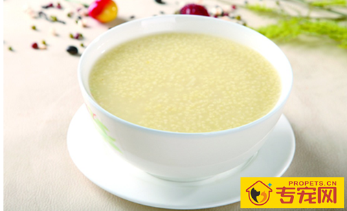 狗狗独立吃钙片拉稀,狗狗吃钙片会腹泻是怎么回事 狗狗独立吃钙片拉稀,狗狗吃钙片会腹泻是怎么回事