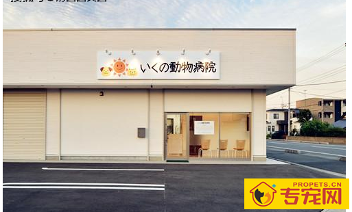 狗狗独立吃钙片拉稀,狗狗吃钙片会腹泻是怎么回事 狗狗独立吃钙片拉稀,狗狗吃钙片会腹泻是怎么回事