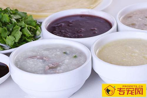 边牧感冒吐鲜红色物品，边牧感冒了吐该怎么办