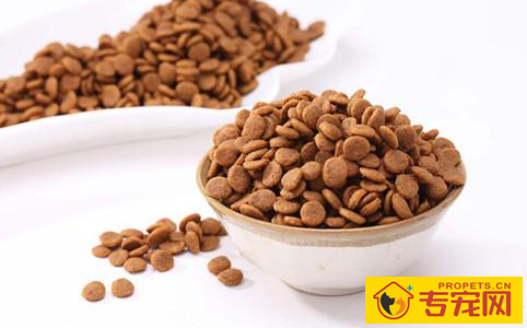 雪纳瑞不进食拉稀粑粑,雪纳瑞不要吃物品就拉稀 雪纳瑞不进食拉稀粑粑,雪纳瑞不要吃物品就拉稀