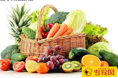 松狮感冒比较严重吗,松狮感冒怎么办,松狮感冒吃什么中药 松狮感冒比较严重吗,松狮感冒怎么办,松狮感冒吃什么中药