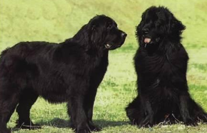 undefined{{pos:,w:,h:}}