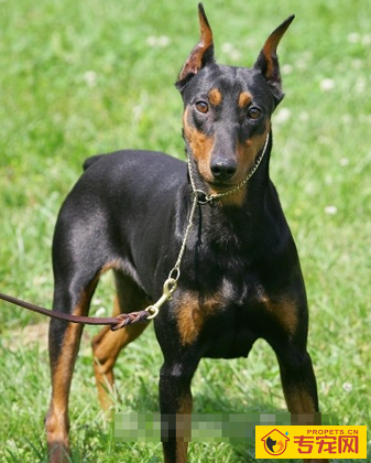 undefined{{pos:,w:,h:}}