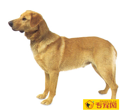 undefined{{pos:,w:,h:}}