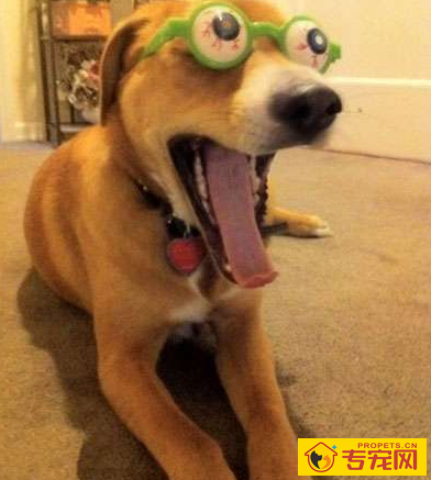 undefined{{pos:,w:,h:}}