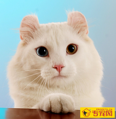 undefined{{pos:,w:,h:}}