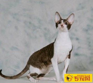 undefined{{pos:,w:,h:}}