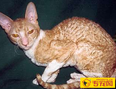 undefined{{pos:,w:,h:}}