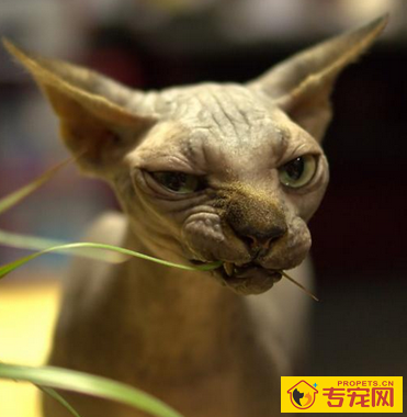 undefined{{pos:,w:,h:}}