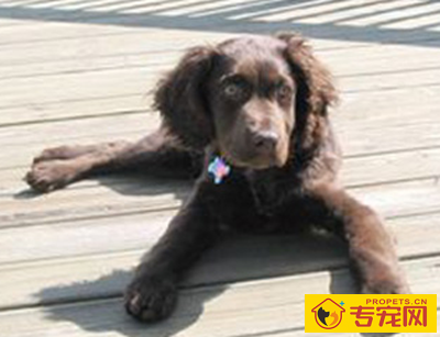 undefined{{pos:,w:,h:}}