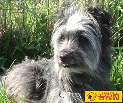 undefined{{pos:,w:,h:}}