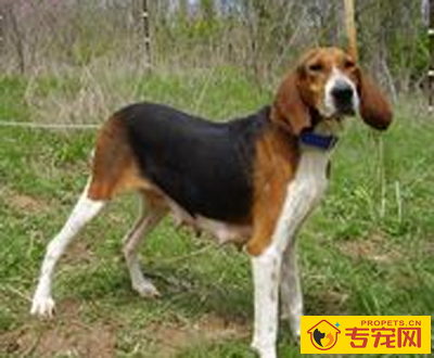 undefined{{pos:,w:,h:}}