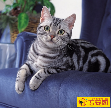 undefined{{pos:,w:,h:}}