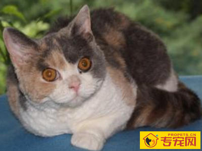 undefined{{pos:,w:,h:}}